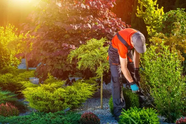 Landscaping Company in South Bend, IN