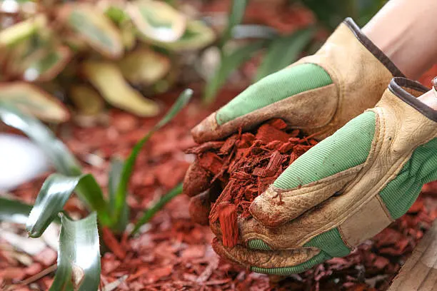 Mulching in South Bend, IN