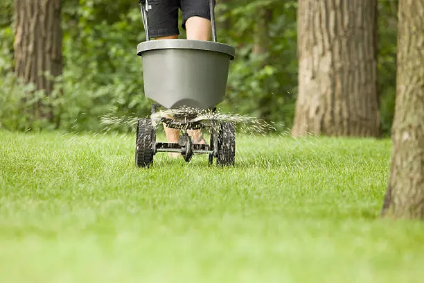 Quality Lawn Fertilization in South Bend, IN