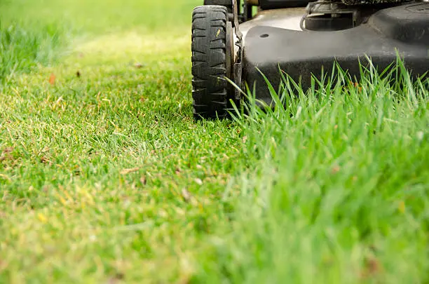 Quality Lawn Mowing in South Bend, IN