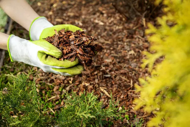 Quality Mulching in South Bend, IN