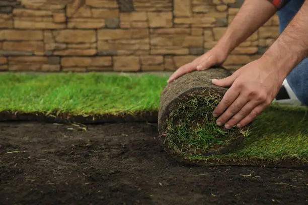 Quality Sod Installation in South Bend, IN