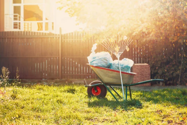 Quality Yard Cleanup in South Bend, IN