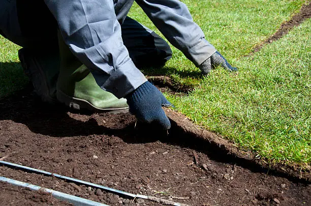 Sod Installation in South Bend, IN