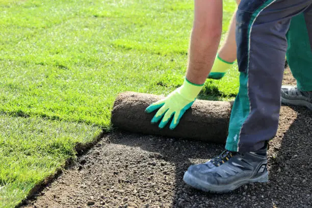 Sod Installation in South Bend, IN