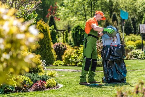 Yard Cleanup in South Bend, IN